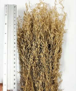 Erba Secca Altro Tipo per Presepi e Diorami