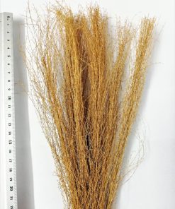 Erba Alta Secca Variante per Scenografie Presepiali