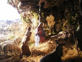 Paglia o Erba Secca Bassa Scura per Presepi e Diorami - immagine 3