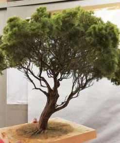 Escena de nacimiento de diorama de pino marítimo 60 cm