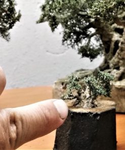 Olivo profesional para cunas y dioramas 3 cm
