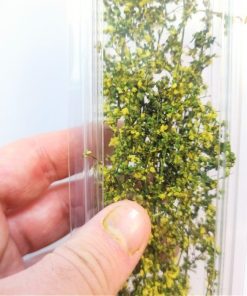 Alternative view of Hellgrüner stabilisierter Blattstrauch mit gelben Blüten