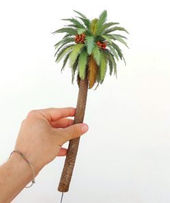 PALMA altezza 35cm su ordinazione (25 giorni di preparazione prima di essere spedita)
