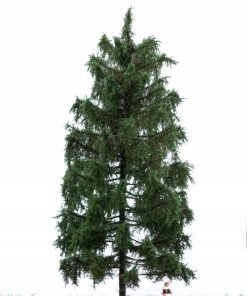 Abeto completo 18-22 cm 51-4306