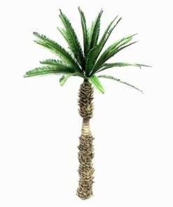 Palma del deserto 1/35 Modello TPD004