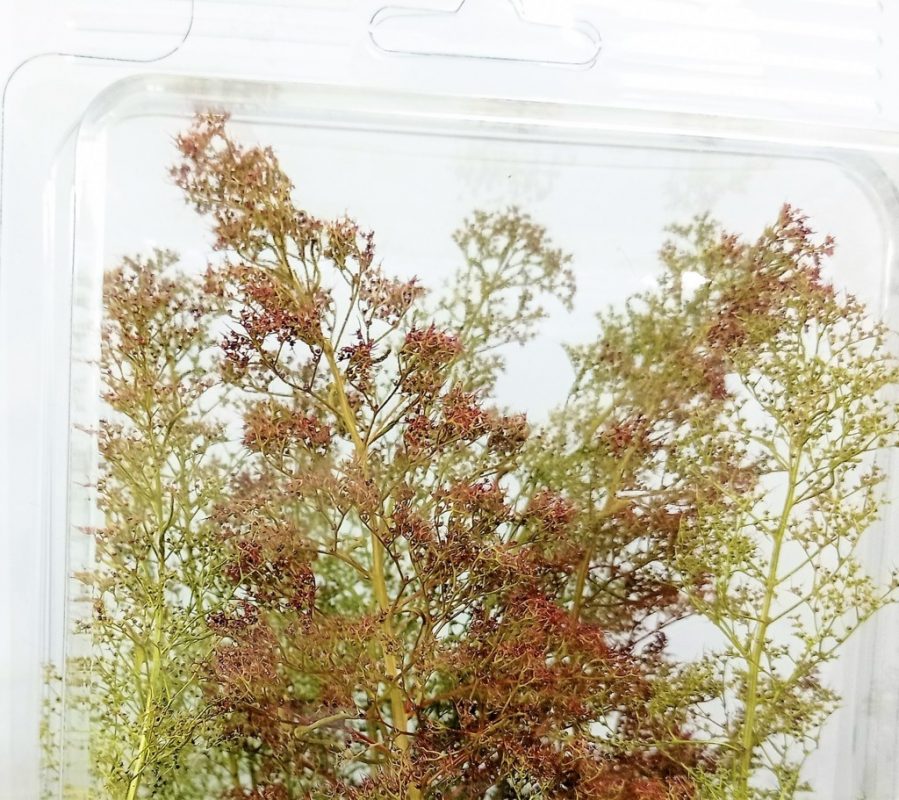 escaliers HO / OO / TT / N / Z zeechium-Aristata Teloxis-Sea mousse-Sea moss 80 Branches