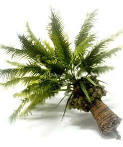 Palma da cocco a tronco corto - albero 15 cm scala 1/35 TPV-064-2