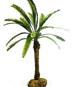 Mini palma o pianta da vaso - altezza 9 cm circa TNH-007