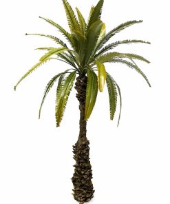 Palma del deserto 22 cm circa scala 1/35 - TPD-016